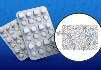 An image of Takara Bio USA’s Lenti-X T-Cell Transduction Sponge, zooming in on its macropores and showing how T cells and viruses move through the sponge. An image of Takara Bio USA’s Lenti-X T-Cell Transduction Sponge, zooming in on its macropores and showing how T cells and viruses move through the sponge.