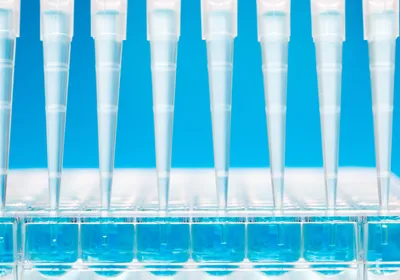 Multichannel pipette dispensing clear fluid into multiwell plate on a blue background. Multichannel pipette dispensing clear fluid into multiwell plate on a blue background.