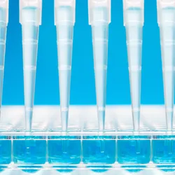 Multichannel pipette dispensing clear fluid into multiwell plate on a blue background. Multichannel pipette dispensing clear fluid into multiwell plate on a blue background.