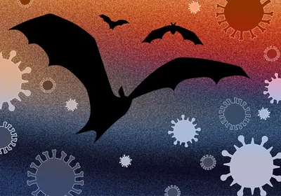Image of a bat taking flight. It is surrounded by viruses of varying sizes. The background is a gradient of reddish-orange (top) to a purple-dark blue (bottom).