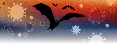 Image of a bat taking flight. It is surrounded by viruses of varying sizes. The background is a gradient of reddish-orange (top) to a purple-dark blue (bottom).