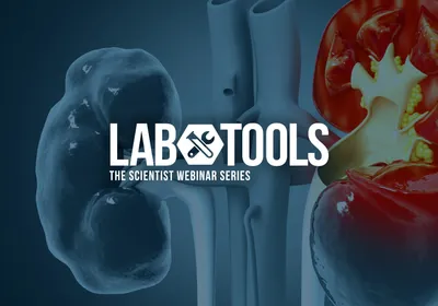 Modeling Immunovirology Mechanisms in Living Systems Modeling Immunovirology Mechanisms in Living Systems