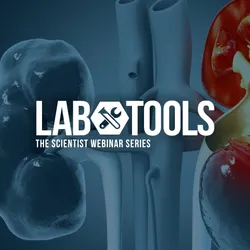 Modeling Immunovirology Mechanisms in Living Systems