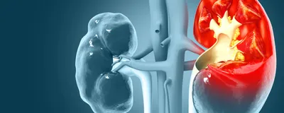 Modeling Immunovirology Mechanisms in Living Systems