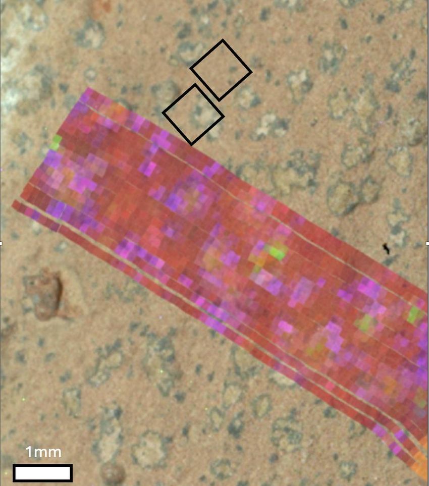 Photograph of tan rock with irregular spots of lighter rock rimmed with dark bluish-greenish rings. An overlay of a red band with pink and green spots represents areas in these spots where two minerals that some microbes can produce were found. Photograph of tan rock with irregular spots of lighter rock rimmed with dark bluish-greenish rings. An overlay of a red band with pink and green spots represents areas in these spots where two minerals that some microbes can produce were found.