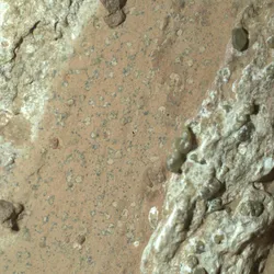 Photograph of tan rock with two diagonal veins of lighter rock on either side. In the tan rock are several small, irregular spots of sand-colored rock ringed with dark bluish-greenish rock. These spots’ chemical composition was studied and found to contain minerals that, given Mars’s expected environment billions of years ago, could have been produced by microbes.