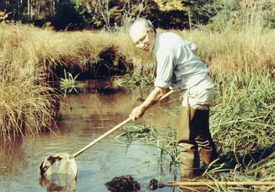 Joseph Gall stood in a pond with a net, capturing wildlife that he would bring back to his laboratory to study.