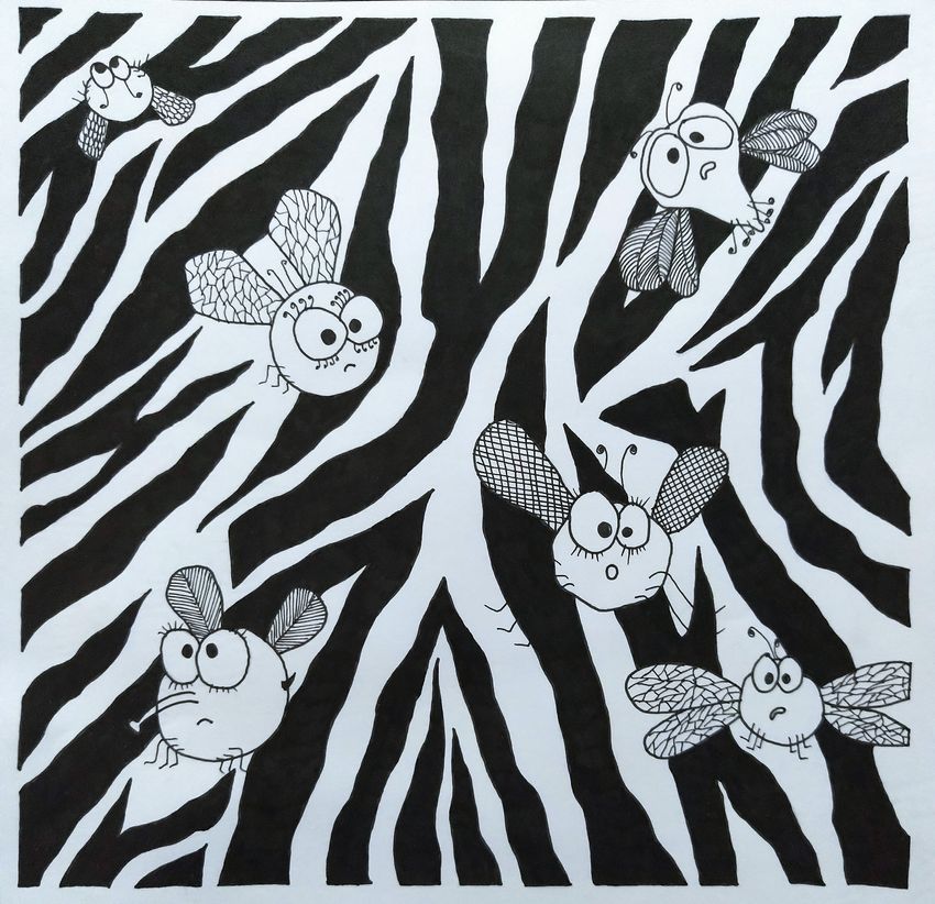 Black-and-white illustration of flies on a striped background resembling the bodies of zebras. The cartoon flies seemed confused, representing a leading theory on why black-and-white stripes deter these insects.