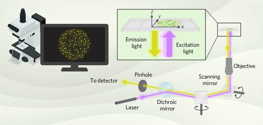 How confocal microscopy works: diagram depicting the path that excitation light travels from the laser to the microscope slide and the path that emitted fluorescence travels back to the detector, including the pinhole aperture, scanning and dichroic mirrors, objective lens. The diagram also shows that confocal microscopy scans the lateral x and y-axes and collects thin optical sections along the vertical z-axis for 3D imaging.