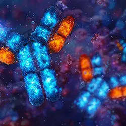 3D rendered recombinant antibodies 3D rendered recombinant antibodies