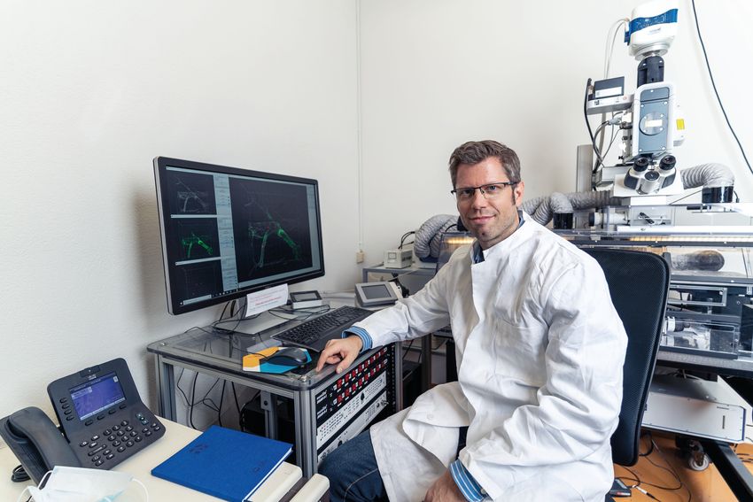 Christoph Scheiermann, a circadian immunologist wears a lab coat and sits in his office. Christoph Scheiermann, a circadian immunologist wears a lab coat and sits in his office.