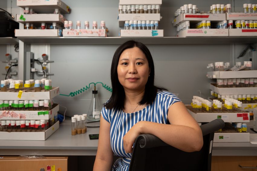 Image of Li Zhao. She smiles at the camera. She has one arm draped over the back of a chair. In the background, there are many labeled test tubes on a laboratory bench.