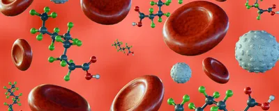 An illustration of PFAS in the bloodstream.