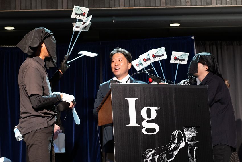 Japanese researchers present their work on zebra cow, which won the 2025 Ig Nobel Prize in biology, at the award ceremony. A researcher in the middle is speaking. He