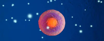 A 3D illustration of a cell is shown in orange and pink against a blue background with white dots.