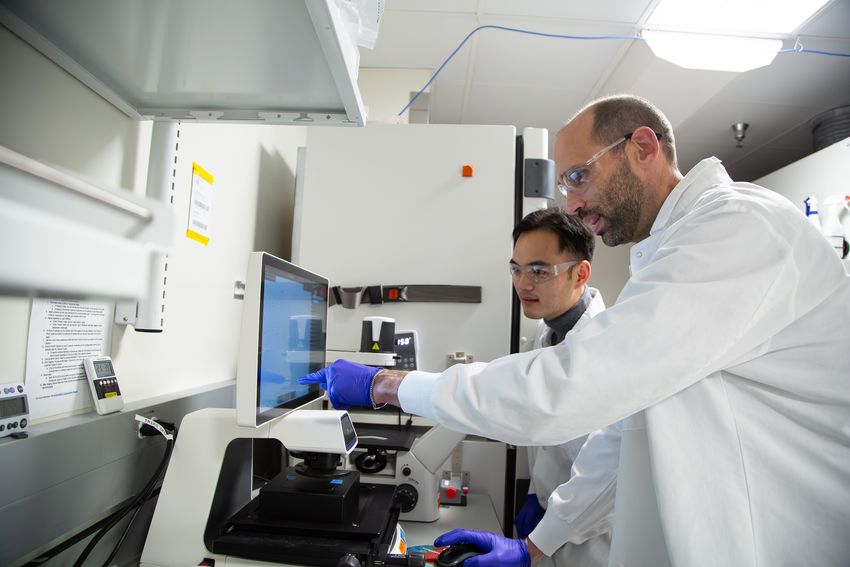 Ziyuan He, one of the study’s lead authors, and Mark Gillespie, one of the study’s senior authors, discuss data on the computer. They’re both wearing white lab coats and goggles. Ziyuan He, one of the study’s lead authors, and Mark Gillespie, one of the study’s senior authors, discuss data on the computer. They’re both wearing white lab coats and goggles.
