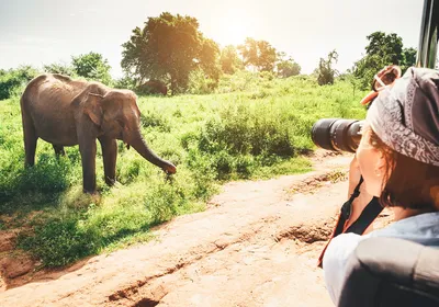 A woman capturing a photograph of an elephant, while on a safari. Such salient moments can strengthen the memory of mundane stuff that occurred before or after. A woman capturing a photograph of an elephant, while on a safari. Such salient moments can strengthen the memory of mundane stuff that occurred before or after.
