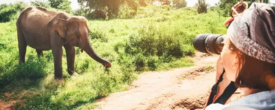 A woman capturing a photograph of an elephant, while on a safari. Such salient moments can strengthen the memory of mundane stuff that occurred before or after. 