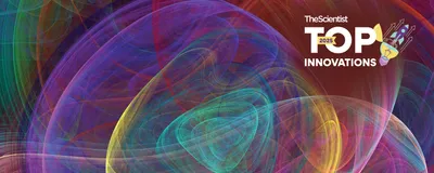 Multicolored abstract swirls on a black background.