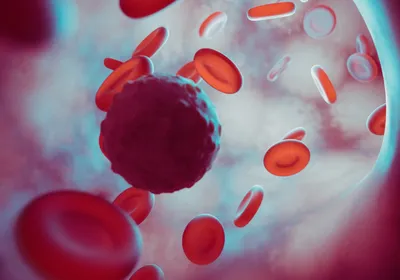 A circulating tumor cell moves through a vein, surrounded by red blood cells. 