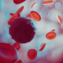 A circulating tumor cell moves through a vein, surrounded by red blood cells. A circulating tumor cell moves through a vein, surrounded by red blood cells.