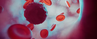 A circulating tumor cell moves through a vein, surrounded by red blood cells. 