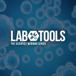 Large-Scale T Cell Editing Using Nonviral Genome Editing Tools