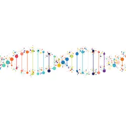 Abstract image of DNA showing multicolored molecular components on a white background. Abstract image of DNA showing multicolored molecular components on a white background.