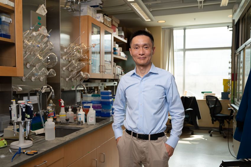 Chuan He wears a light blue shirt while standing in between benches in a biology research laboratory.