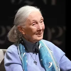 Photograph of primatologist Jane Goodall. She has white hair and is wearing a blue sweater and scarf. Photograph of primatologist Jane Goodall. She has white hair and is wearing a blue sweater and scarf.