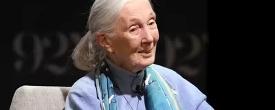Photograph of primatologist Jane Goodall. She has white hair and is wearing a blue sweater and scarf. Photograph of primatologist Jane Goodall. She has white hair and is wearing a blue sweater and scarf.