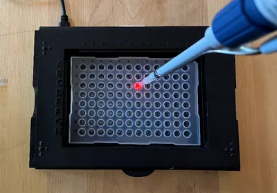 Photo of The Well-Watcher