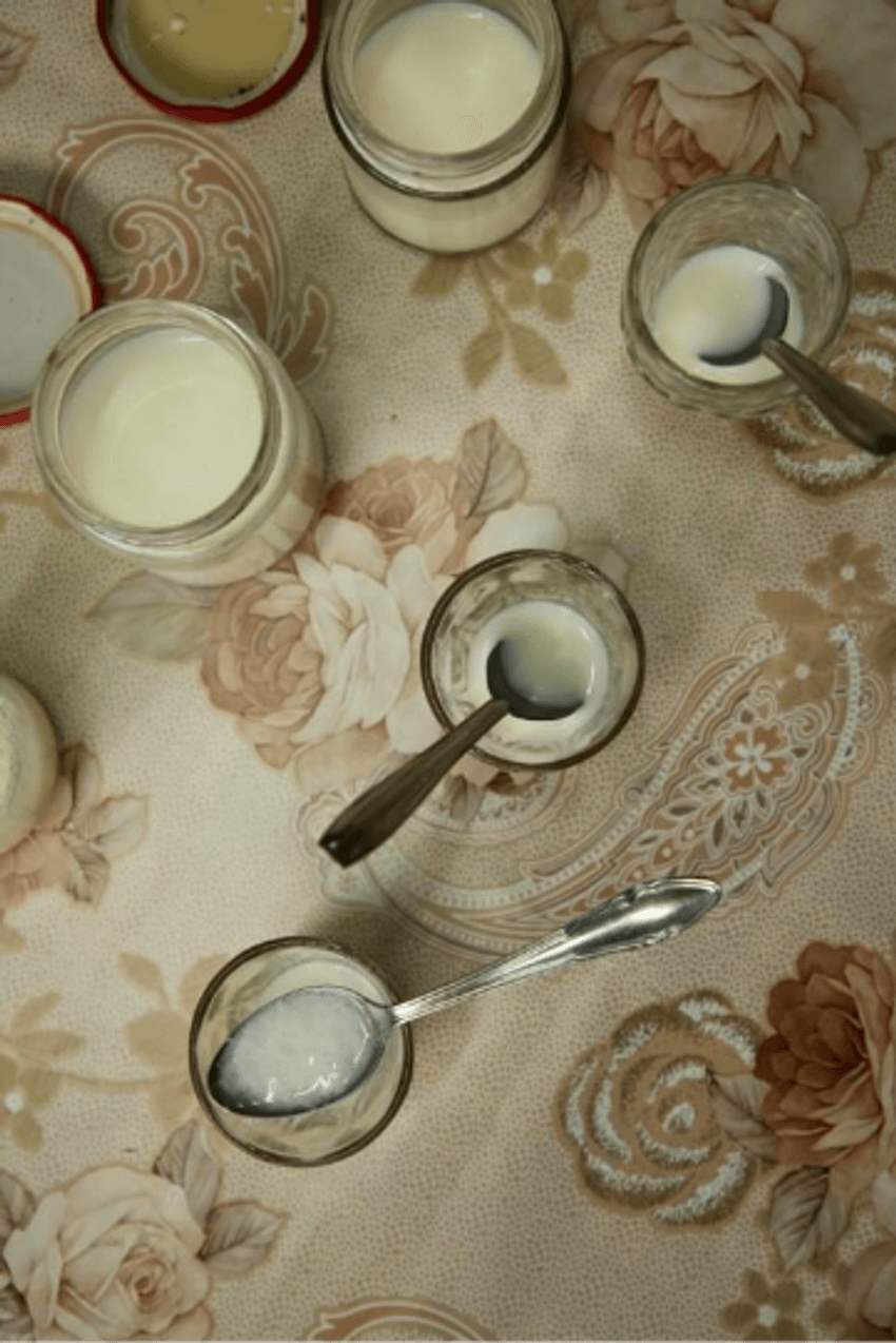 Various jars of yogurt made by adding ants to milk.