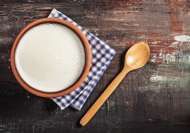 Ants Can Ferment Milk to Make Yogurt