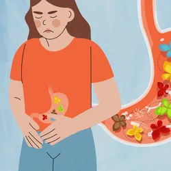 Image of a woman with her hands across her stomach. She has a look of discomfort on her face. There is a blown up image of her stomach next to her and it has colorful butterflies and gut bacteria all swarming within the gut. Image of a woman with her hands across her stomach. She has a look of discomfort on her face. There is a blown up image of her stomach next to her and it has colorful butterflies and gut bacteria all swarming within the gut.