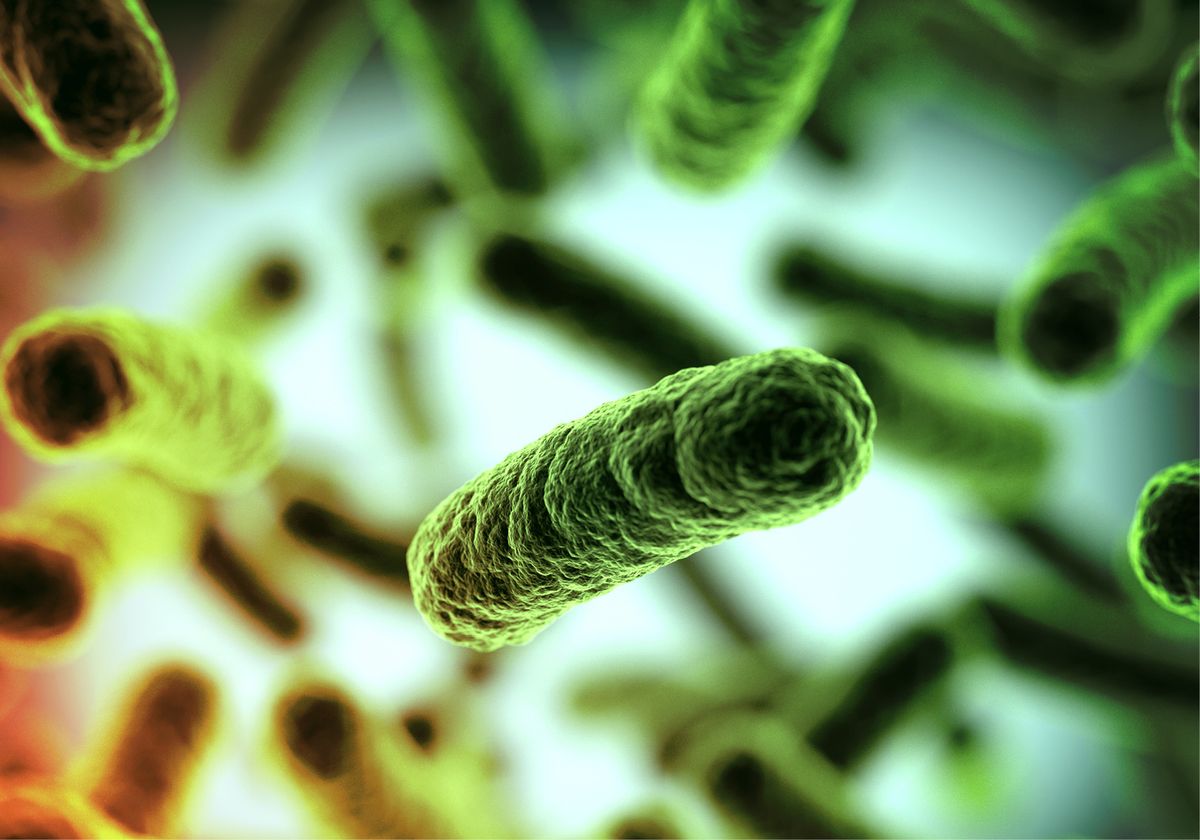 Carbon Fixation | The Scientist