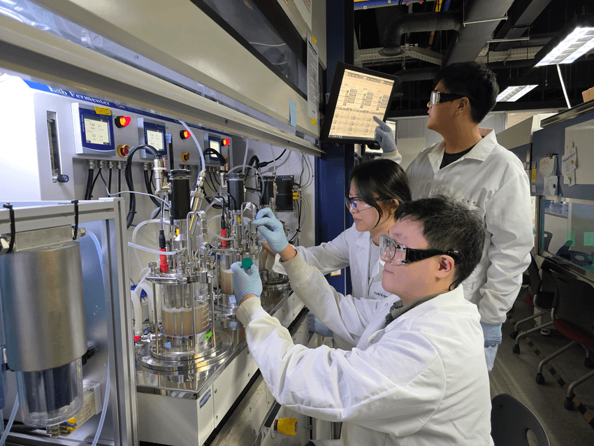 Two researchers wearing white lab coats and blue gloves work with anaerobic fermenters in a biosafety cabinet. A third researcher in a white coat and blue gloves is standing beside them, monitoring experimental values on a computer screen.