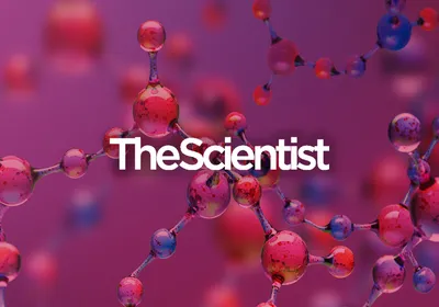 Decoding the Metabolome with Mass Spectrometry Decoding the Metabolome with Mass Spectrometry