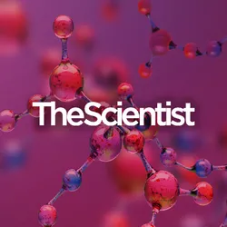 Decoding the Metabolome with Mass Spectrometry