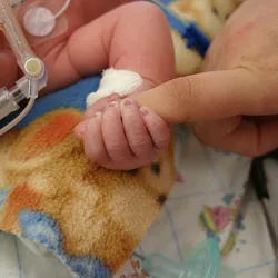 A premature infant in the NICU. Premature babies that heard their mother’s voice regularly showed better brain development than infants who did not.