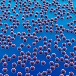 An illustration of cells growing on a blue surface. An illustration of cells growing on a blue surface.