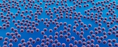 An illustration of cells growing on a blue surface. An illustration of cells growing on a blue surface.