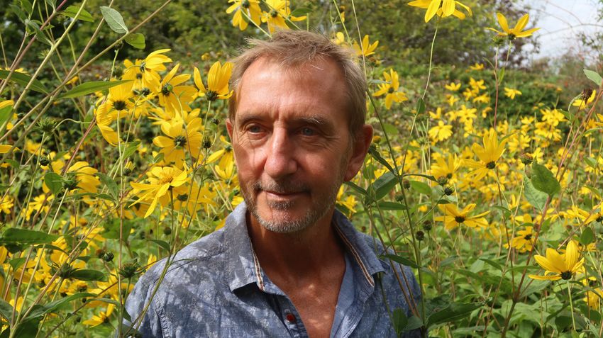 Dave Goulson, wearing a blue textured shirt, stands in a field of yellow flowers.
