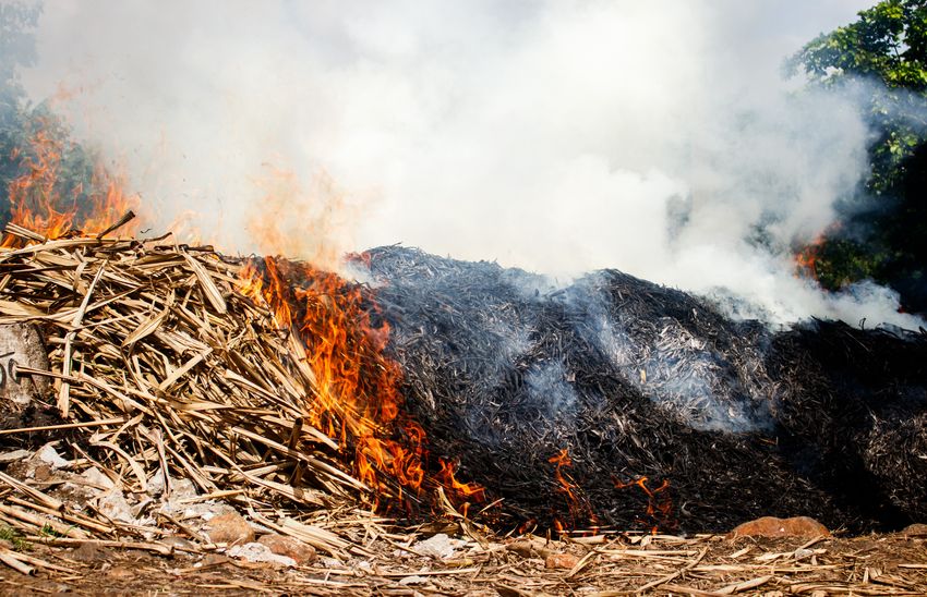 Farm residue is on fire, releasing toxic smoke. Farm residue is on fire, releasing toxic smoke.