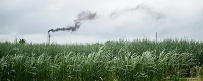 An agricultural field in India is in the foreground, and in the background a smokestack from a factory releases dark black smoke as air pollution. An agricultural field in India is in the foreground, and in the background a smokestack from a factory releases dark black smoke as air pollution.