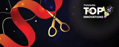 Image of golden scissors cutting a red ribbon representing a DNA helix. Image of golden scissors cutting a red ribbon representing a DNA helix.