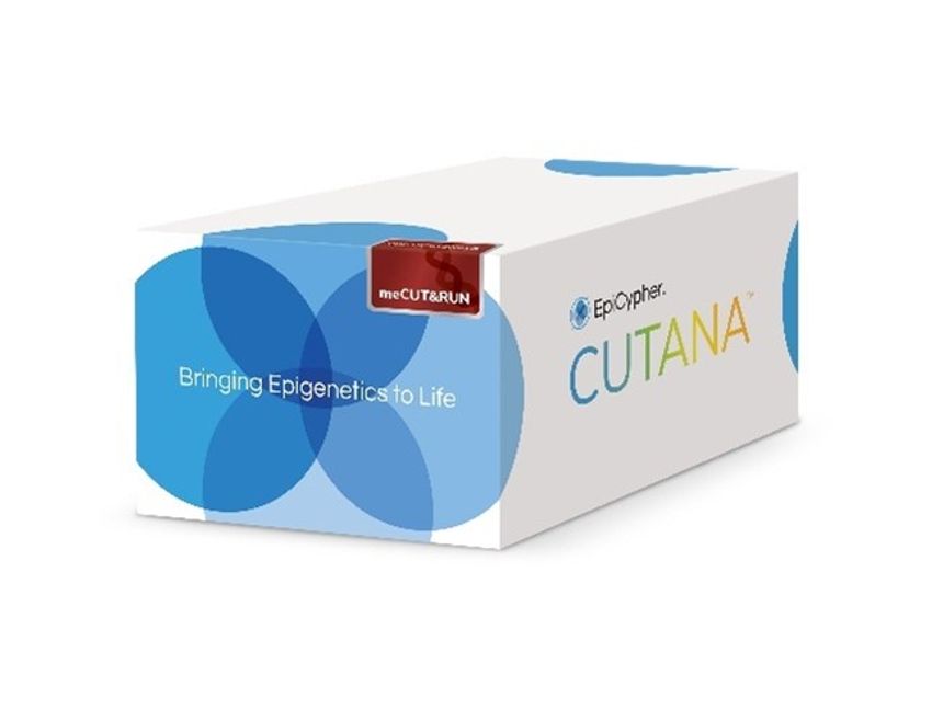 A photo of the meCUT&RUN DNA methylation mapping assay within its box. A photo of the meCUT&RUN DNA methylation mapping assay within its box.