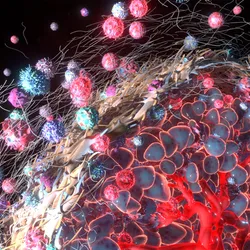 An illustration of the cells comprising the tumor microenvironment.