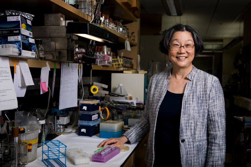 Carol Kumamoto, a microbiologist studying Candida albicans at Tufts University, stands at a laboratory bench. She has short dark hair and is wearing a blue and white dress jacket over a black top. She is smiling at the camera.