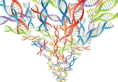DNA molecules in red, blue, green, and purple are shown, representing multiple genetic variants.